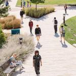 Students walking across campus.