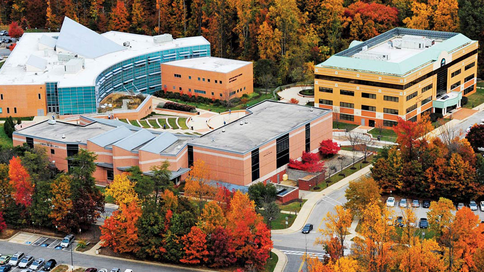 No video playback functionality