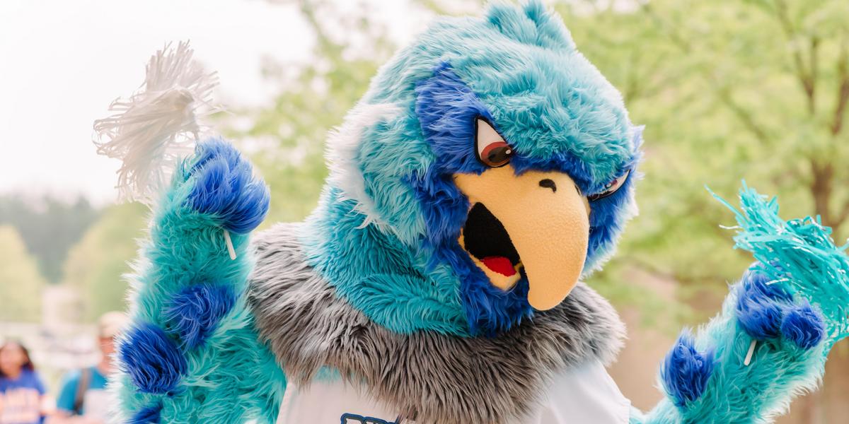 Image of Swoop with students in the background